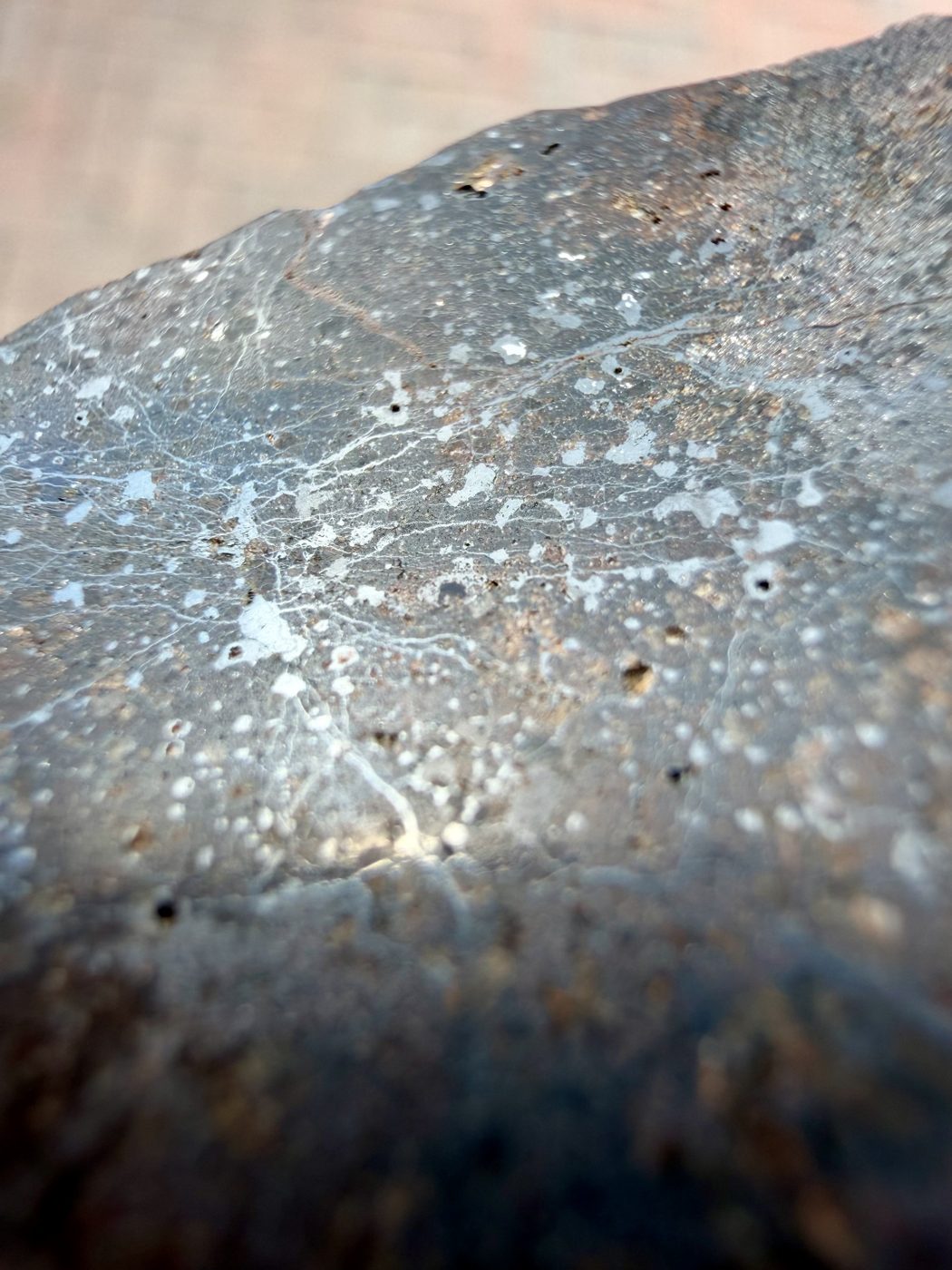 Close view of the polished face of Bir Ounane 001, showing scattered metal grains and fine veining