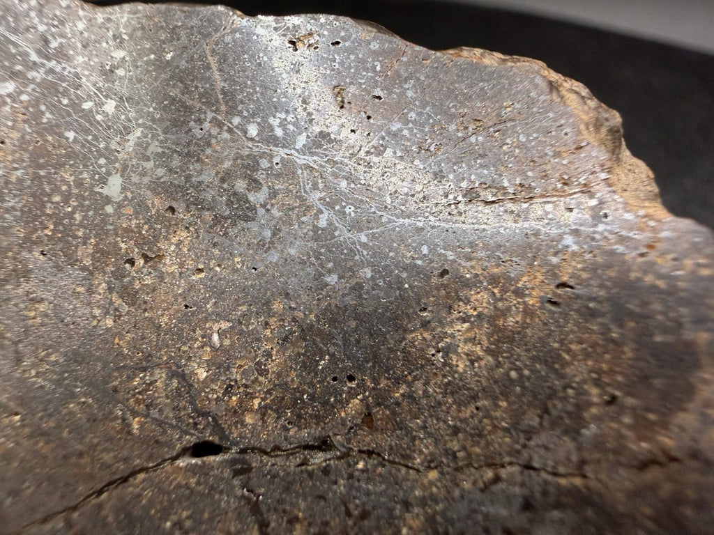Close view of the cut edge of the Bir Ounane 001 end cut, where the polished face meets the weathered exterior