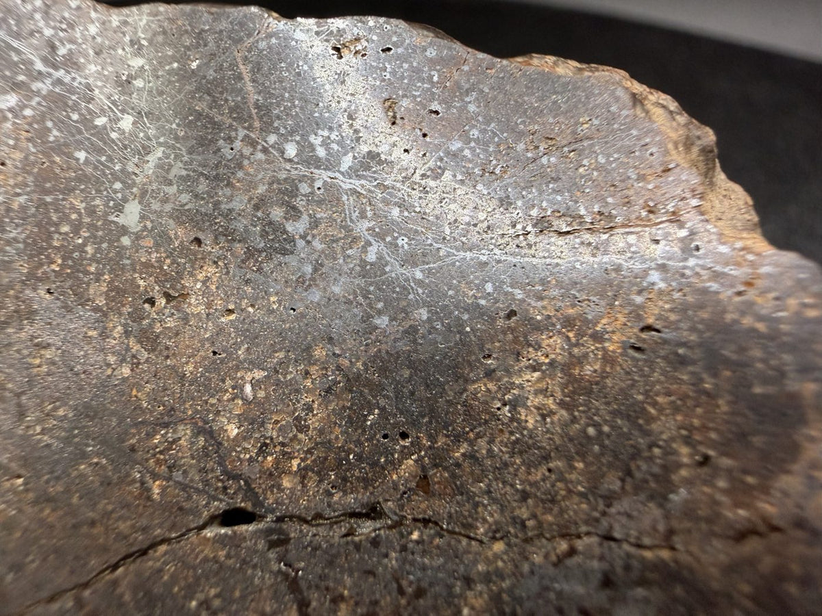 Close view of the cut edge of the Bir Ounane 001 end cut, where the polished face meets the weathered exterior
