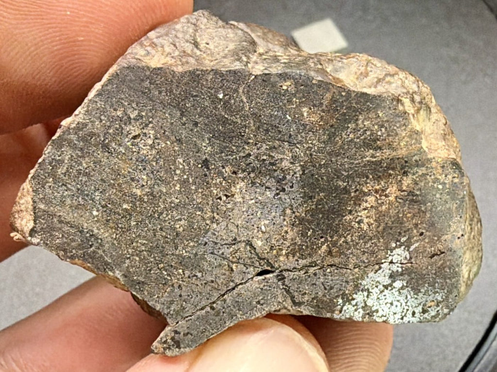 Exterior surface of the Bir Ounane 001 end cut, weathered brown with lighter patches
