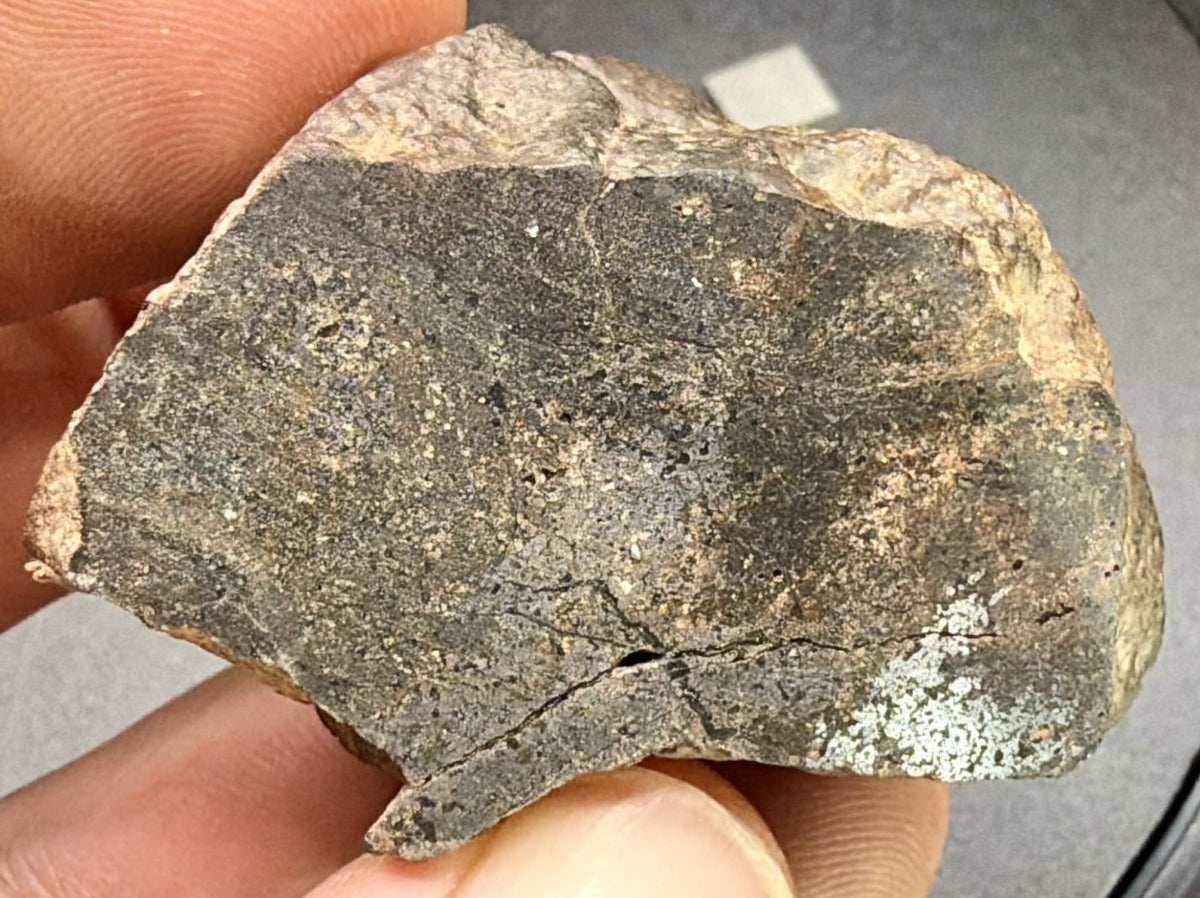 Exterior surface of the Bir Ounane 001 end cut, weathered brown with lighter patches