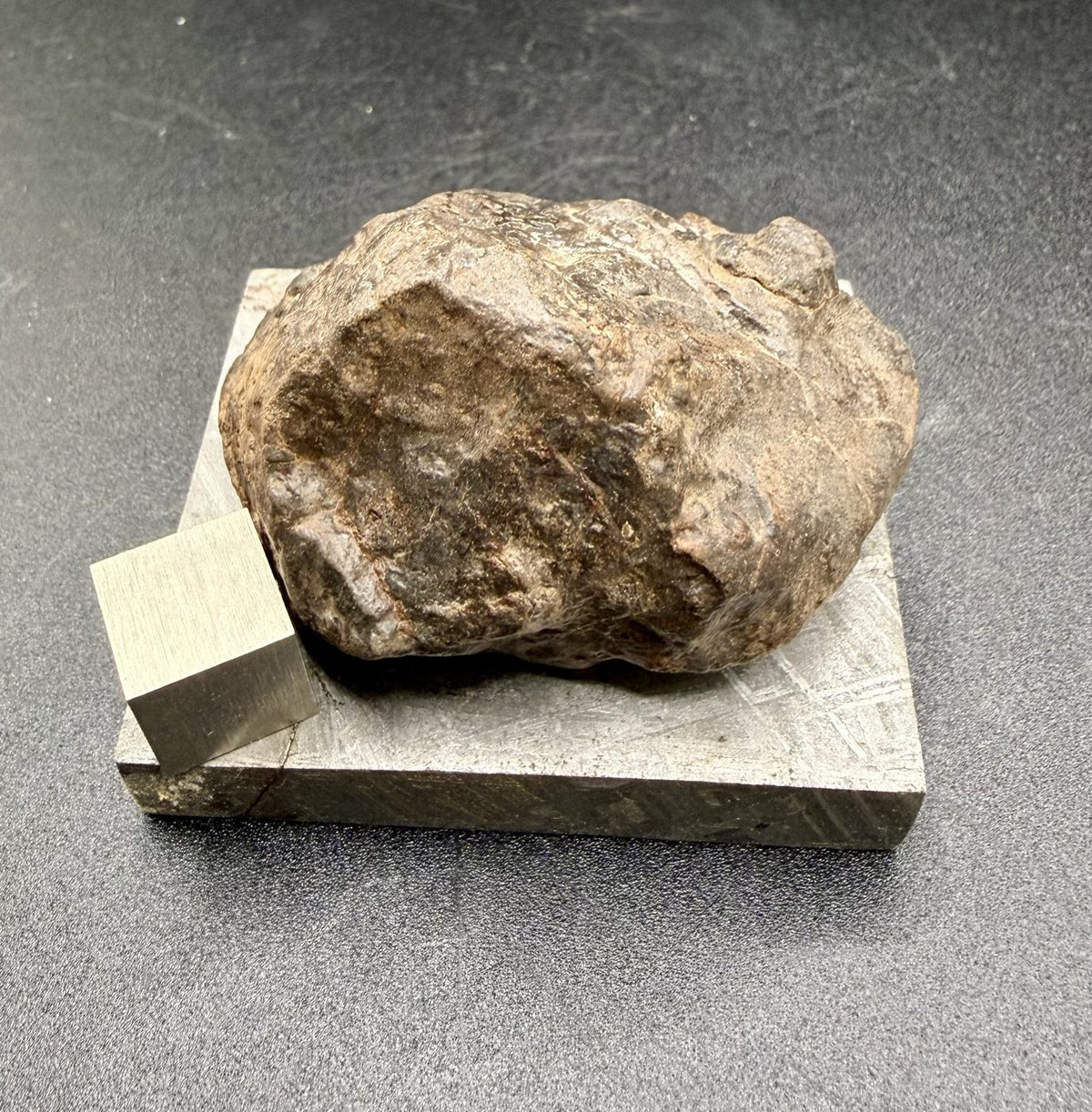 Bir Ounane 001 end cut viewed from the side, showing its irregular natural shape