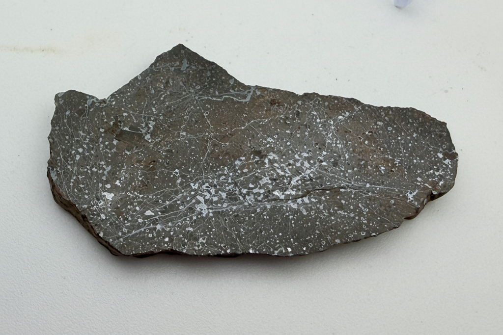 Bir Ounane 001 achondrite-prim meteorite slice 6.46g, polished -- ungrouped primitive achondrite from Mali, Treasure Coast Me