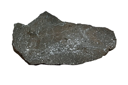 Bir Ounane 001 achondrite-prim meteorite slice 6.46g, polished -- ungrouped primitive achondrite from Mali, Treasure Coast Me