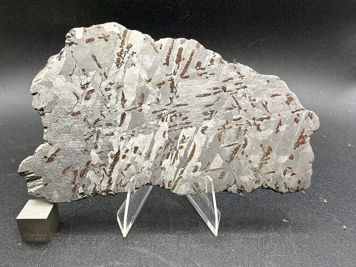 Canyon Diablo iron meteorite, IAB-MG, 112.54 g full slice on a clear acrylic stand with a scale cube against a dark background, etched face with crossing kamacite plates and many elongated bronze inclusions