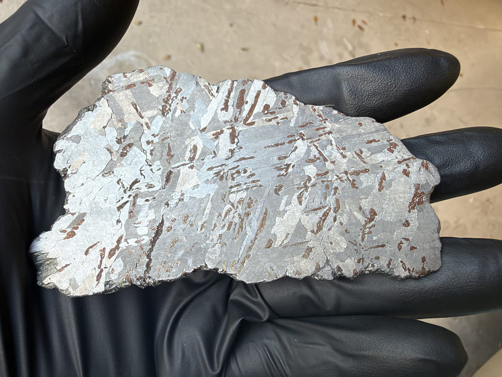 Canyon Diablo iron meteorite, IAB-MG, 112.54 g full slice in daylight, etched face angled to light the kamacite plates and bronze inclusions