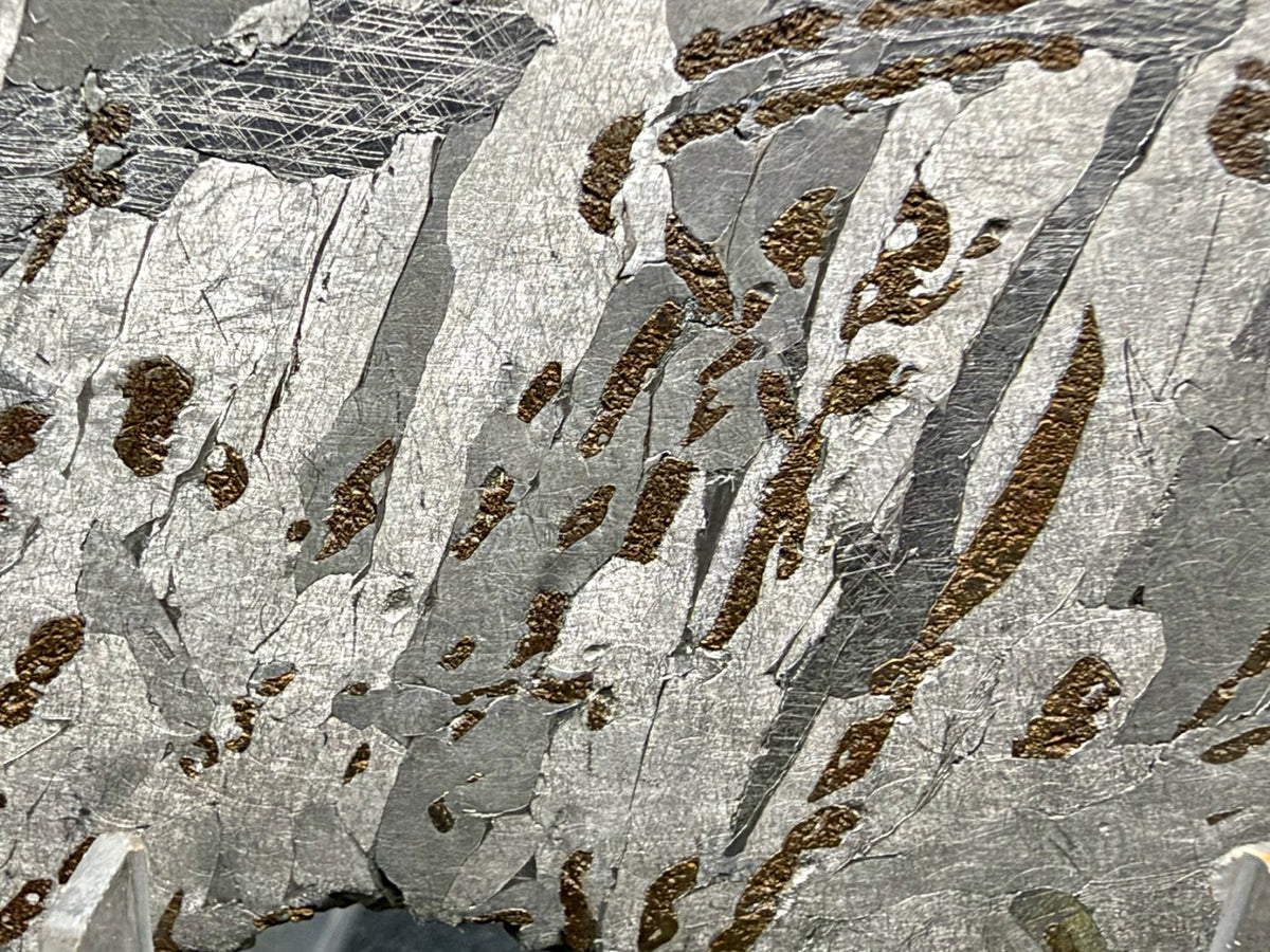 Canyon Diablo iron meteorite, IAB-MG, 112.54 g full slice, close-up of elongated bronze inclusions aligned with the etched kamacite plates