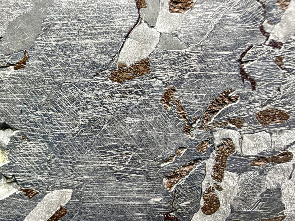 Canyon Diablo iron meteorite, IAB-MG, 112.54 g full slice, close-up of a dark grain crossed by intersecting sets of fine Neumann bands beside bronze inclusions