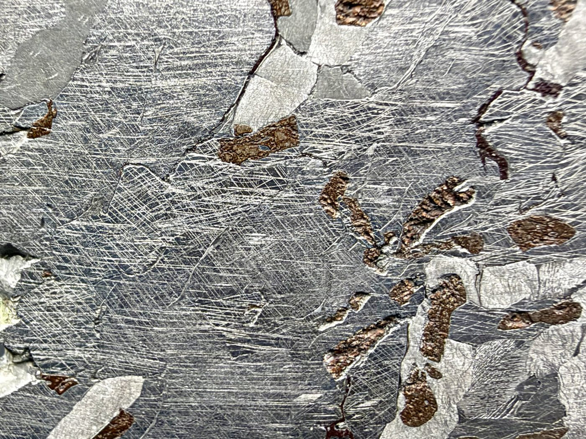 Canyon Diablo iron meteorite, IAB-MG, 112.54 g full slice, close-up of a dark grain crossed by intersecting sets of fine Neumann bands beside bronze inclusions