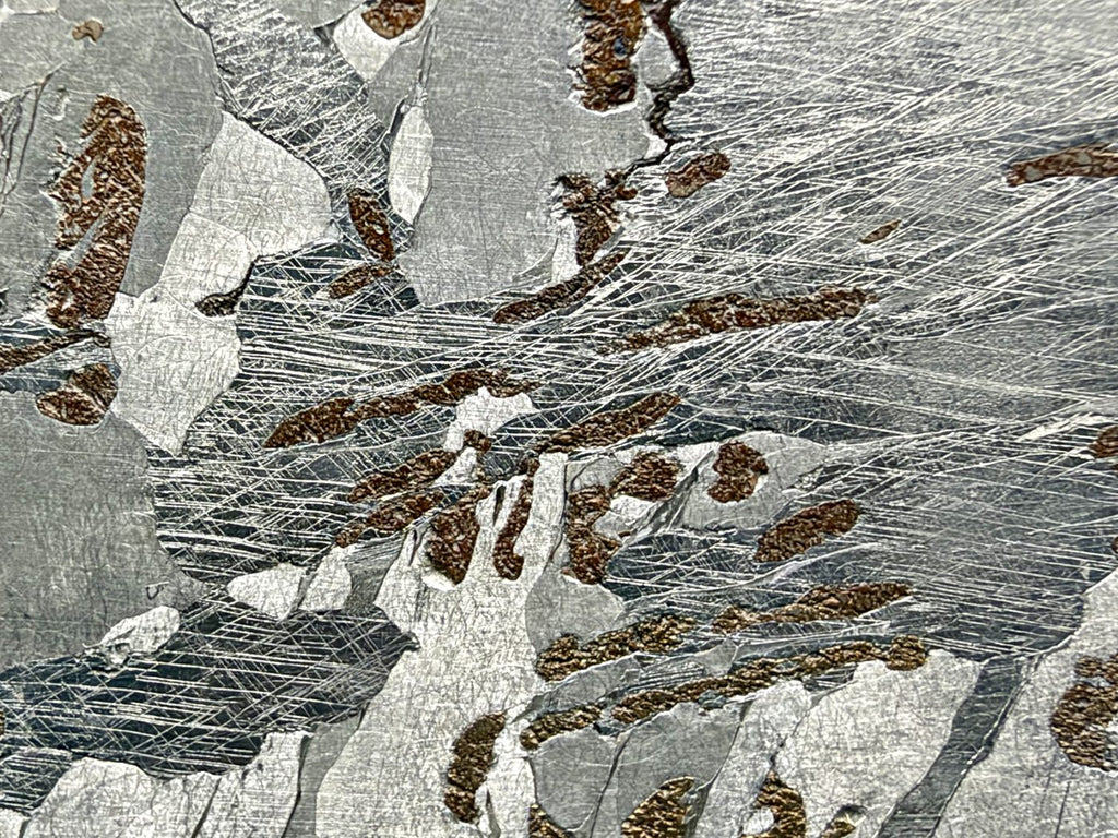 Canyon Diablo iron meteorite, IAB-MG, 112.54 g full slice, close-up of fine Neumann bands crossing the kamacite among elongated bronze inclusions