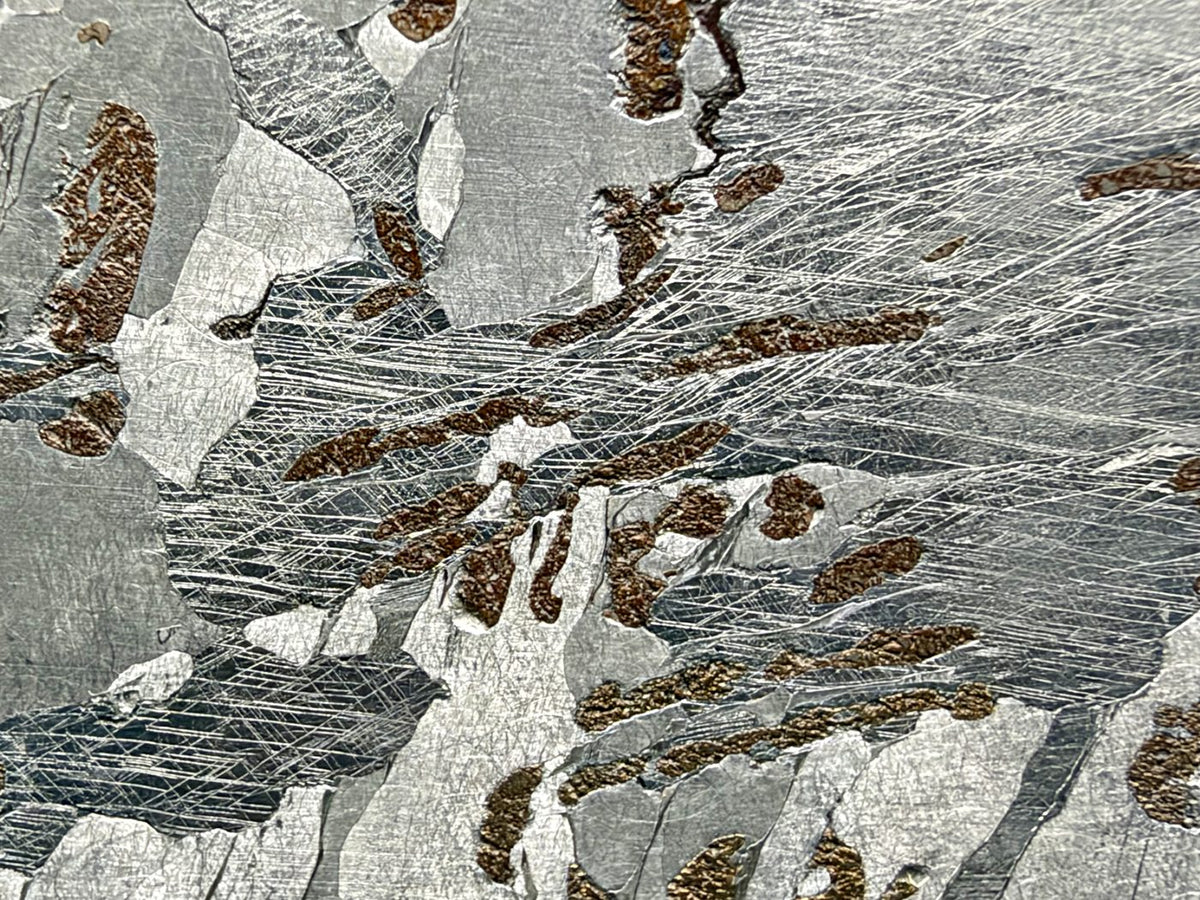 Canyon Diablo iron meteorite, IAB-MG, 112.54 g full slice, close-up of fine Neumann bands crossing the kamacite among elongated bronze inclusions