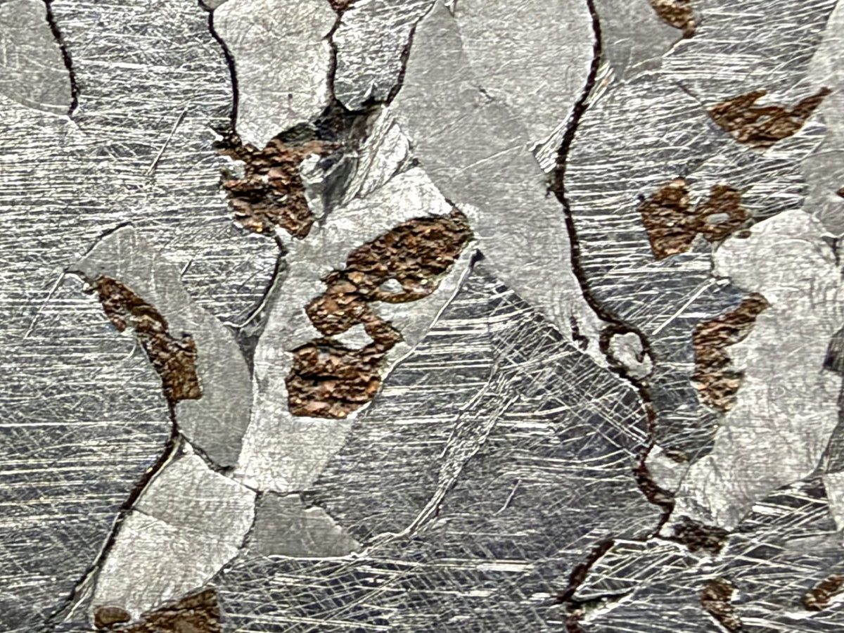 Canyon Diablo iron meteorite, IAB-MG, 112.54 g full slice, close-up of etched kamacite with Neumann bands, bronze inclusions and thin dark lines along grain boundaries