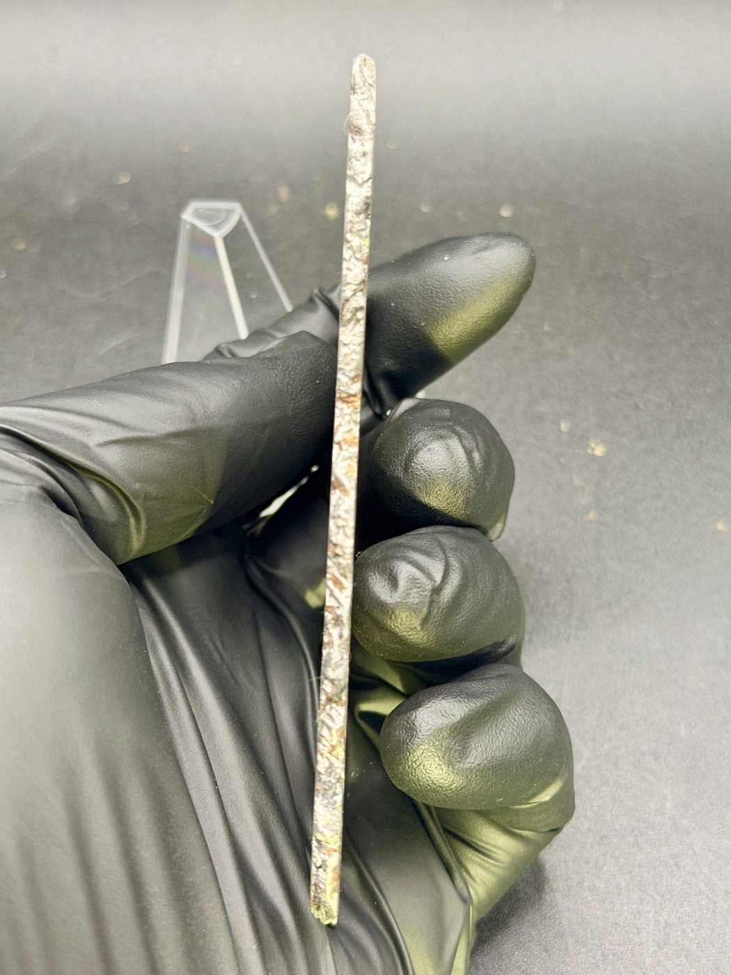 Canyon Diablo iron meteorite, IAB-MG, 112.54 g full slice held on edge in a gloved hand, showing slice thickness and brown terrestrial oxide along the natural edge