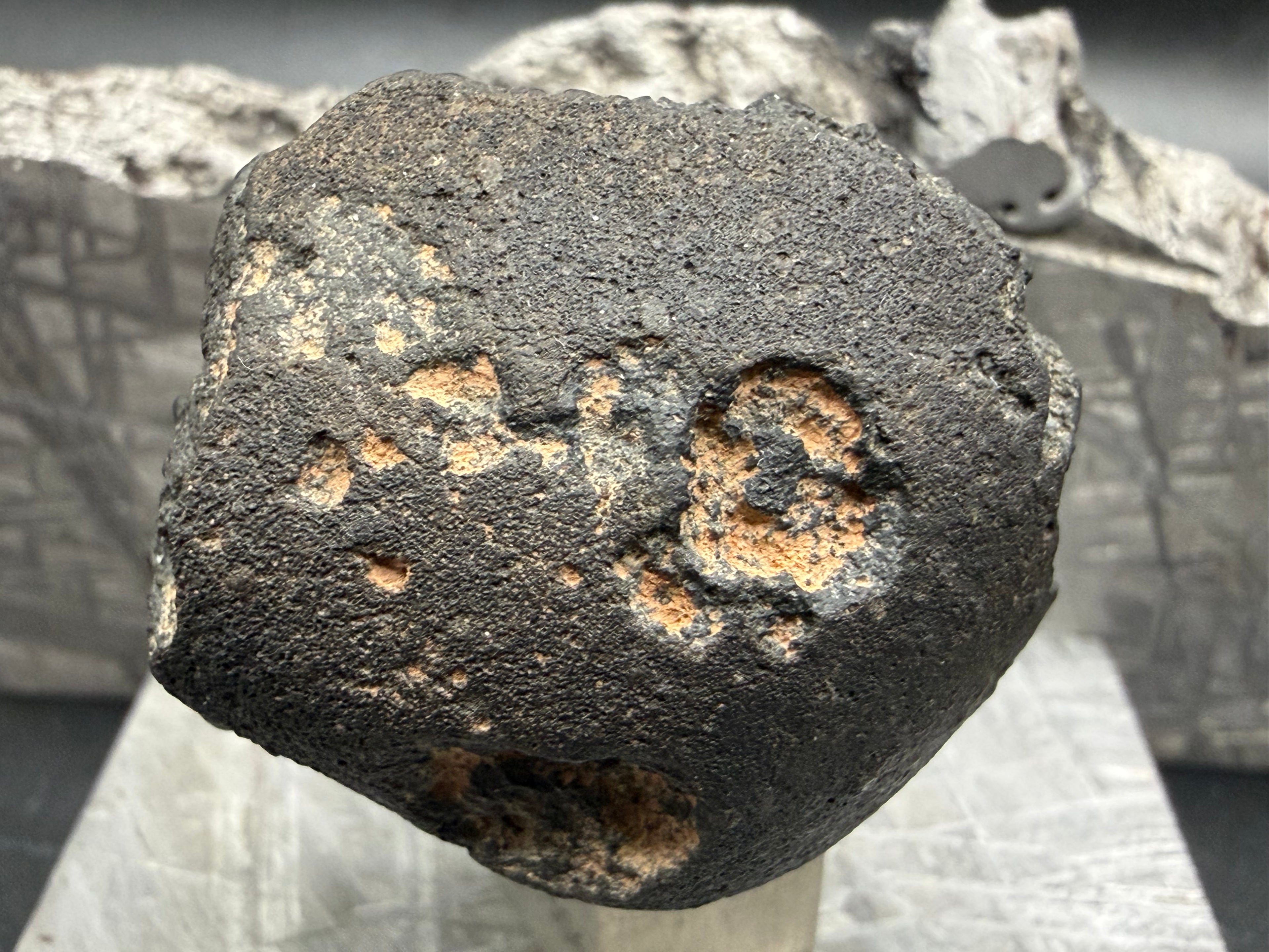 Matrix structure close-up of probable CM2 carbonaceous chondrite meteorite