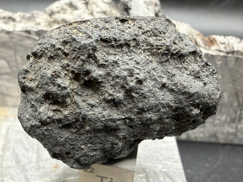 Natural shape of probable CM2 carbonaceous chondrite meteorite individual