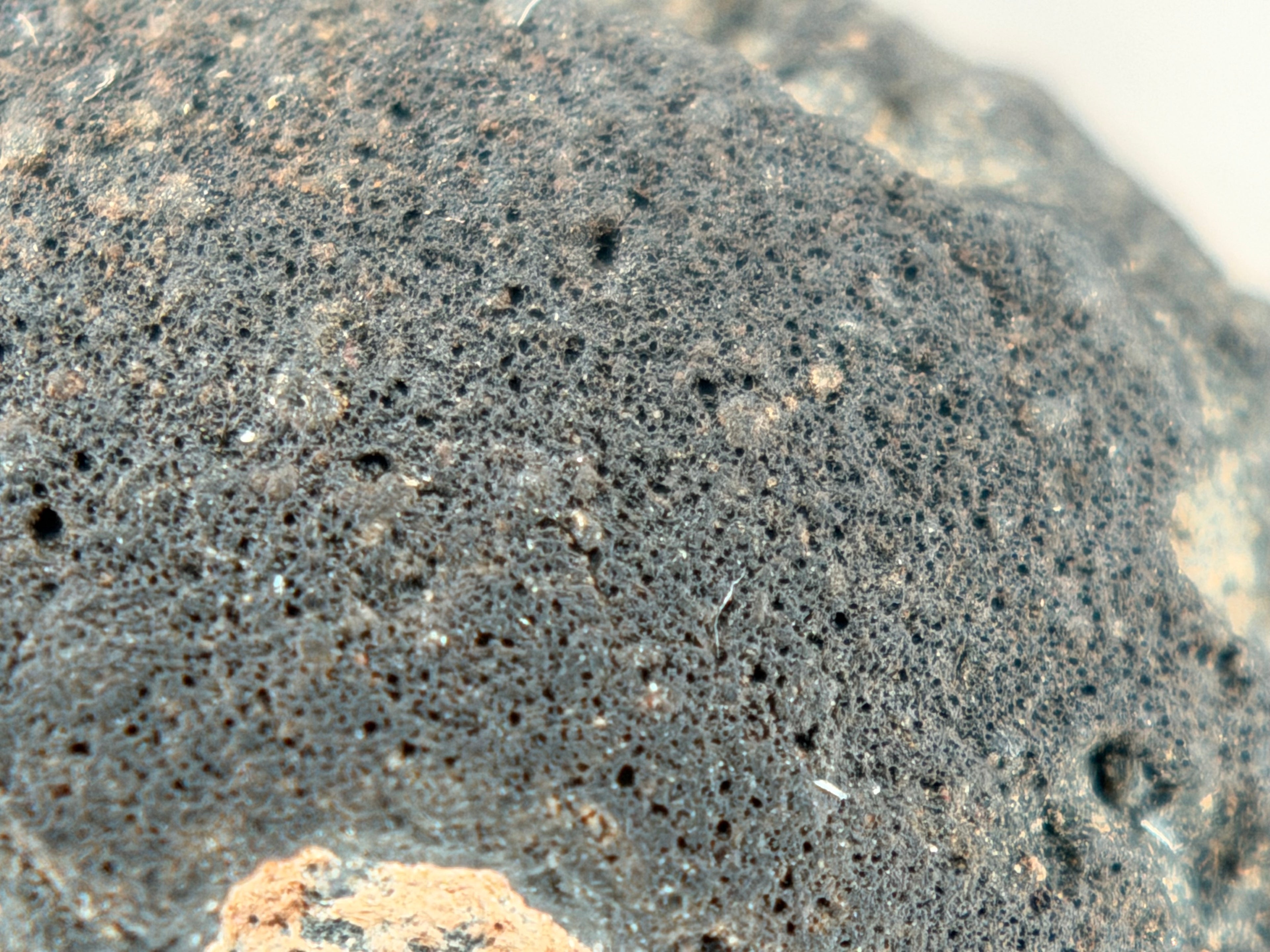 Surface texture of probable CM2 carbonaceous chondrite meteorite showing fine matrix