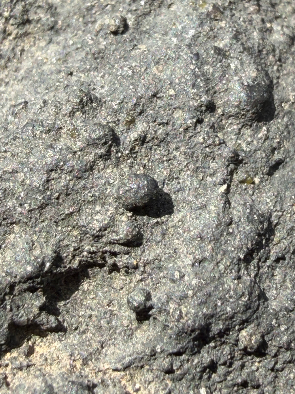 Detailed surface texture of carbonaceous chondrite meteorite specimen