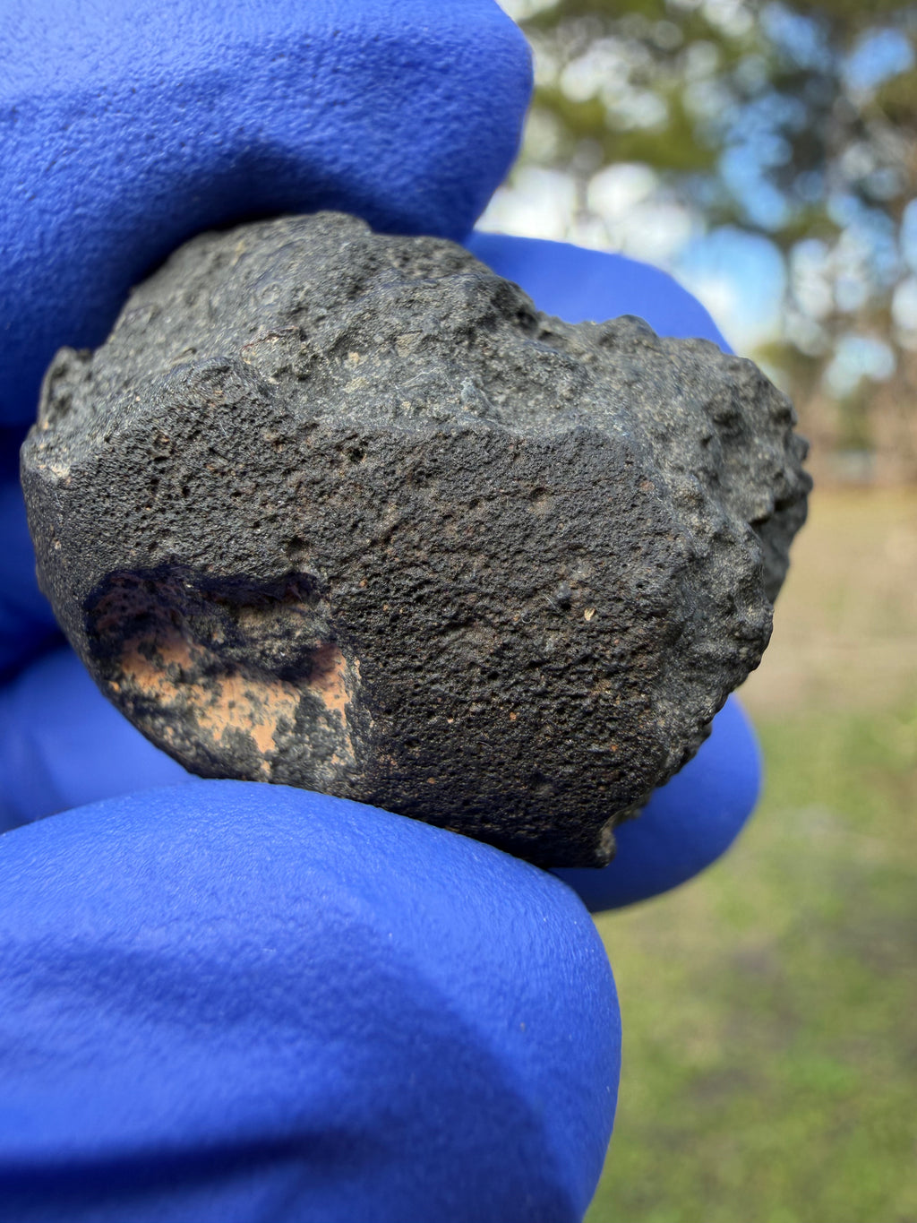 Fusion crust on probable CM2 carbonaceous chondrite meteorite Morocco find