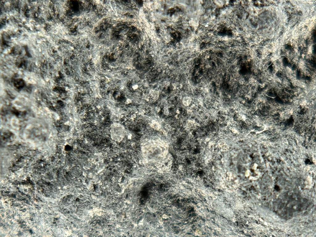 Close-up of matrix on probable CM2 carbonaceous chondrite meteorite