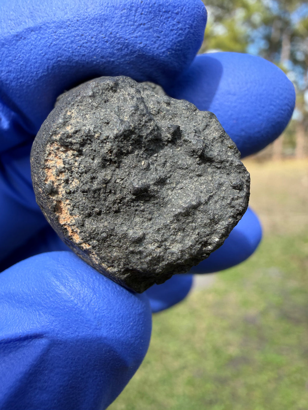 Trailing face of oriented probable CM2 carbonaceous chondrite meteorite
