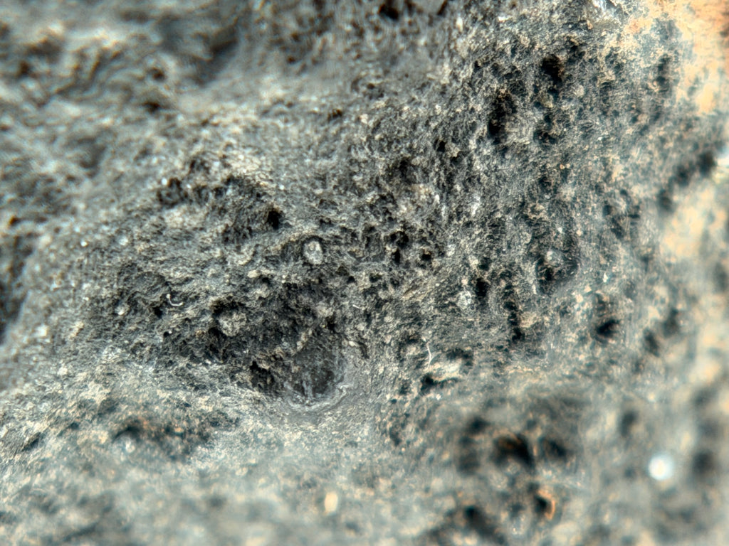 Surface detail of carbonaceous chondrite meteorite specimen