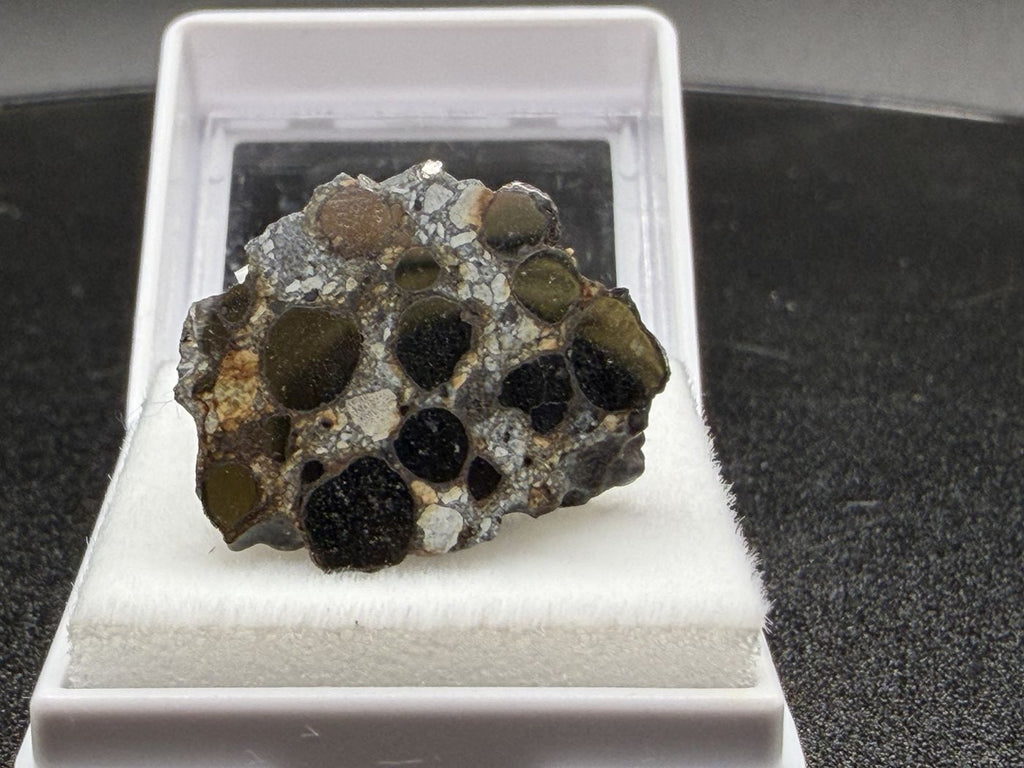 Denader 004 CB carbonaceous chondrite endcut, angled view of the polished cut face