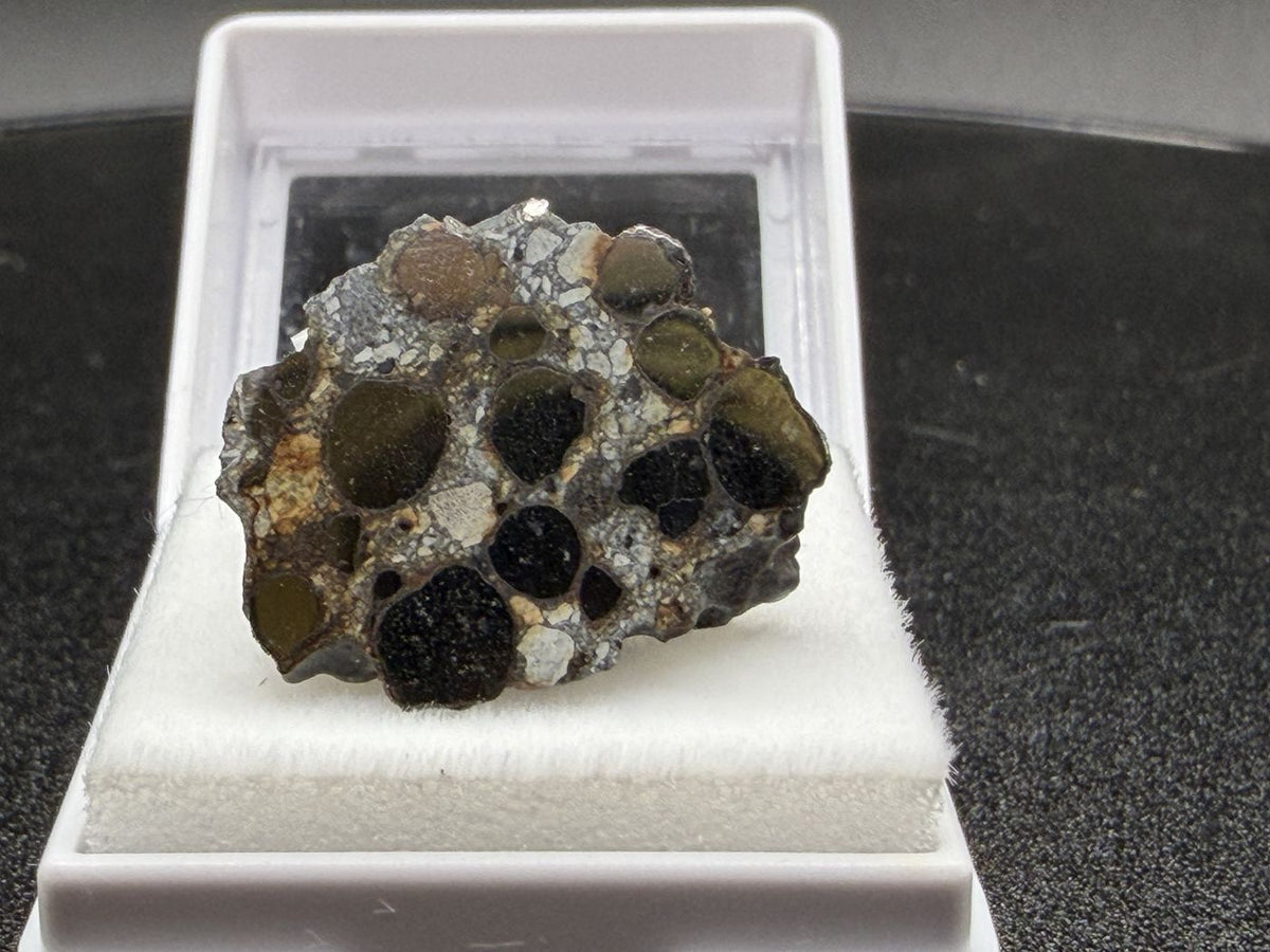 Authentic Meteorites for Sale | Treasure Coast Meteorite Co.