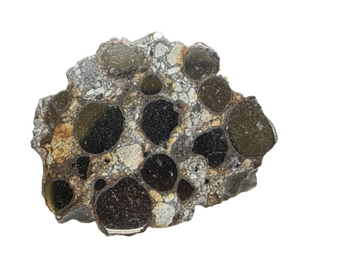 Denader 004 CB chondrite cut face showing chondrules in the gray silicate groundmass