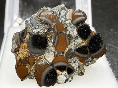 Denader 004 bencubbinite cut face showing kamacite metal nodules rimmed by iron hydroxide