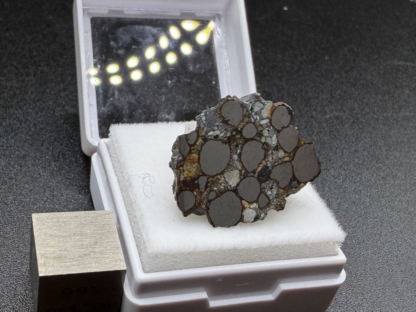 Denader 004 CB chondrite endcut in a display box with a scale cube for size
