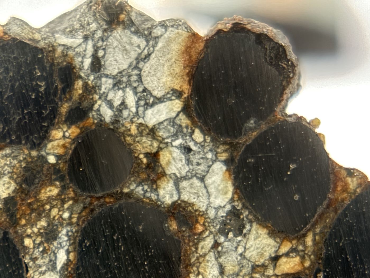 Macro view of Denader 004 metal nodules with iron hydroxide rims in silicate matrix