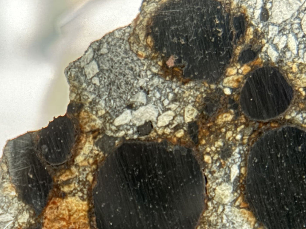 Close up of Denader 004 kamacite nodules and gray silicate groundmass