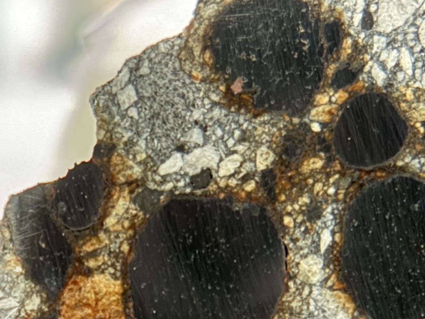 Close up of Denader 004 kamacite nodules and gray silicate groundmass
