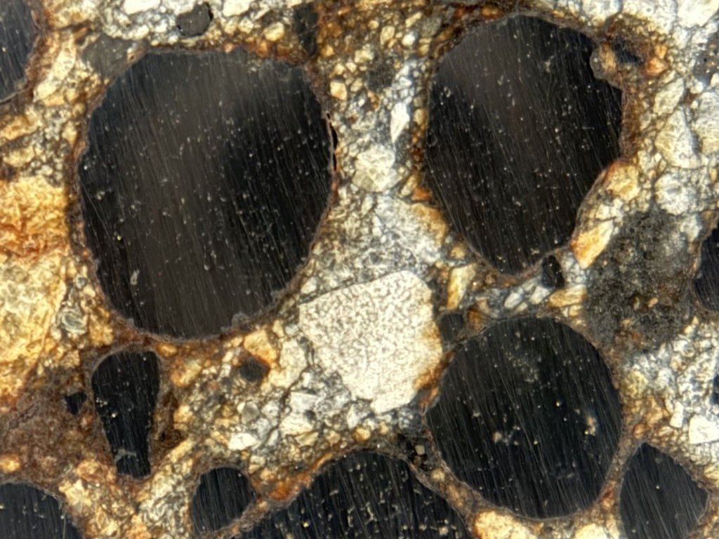 Macro detail of weathered metal nodules in Denader 004 CB carbonaceous chondrite