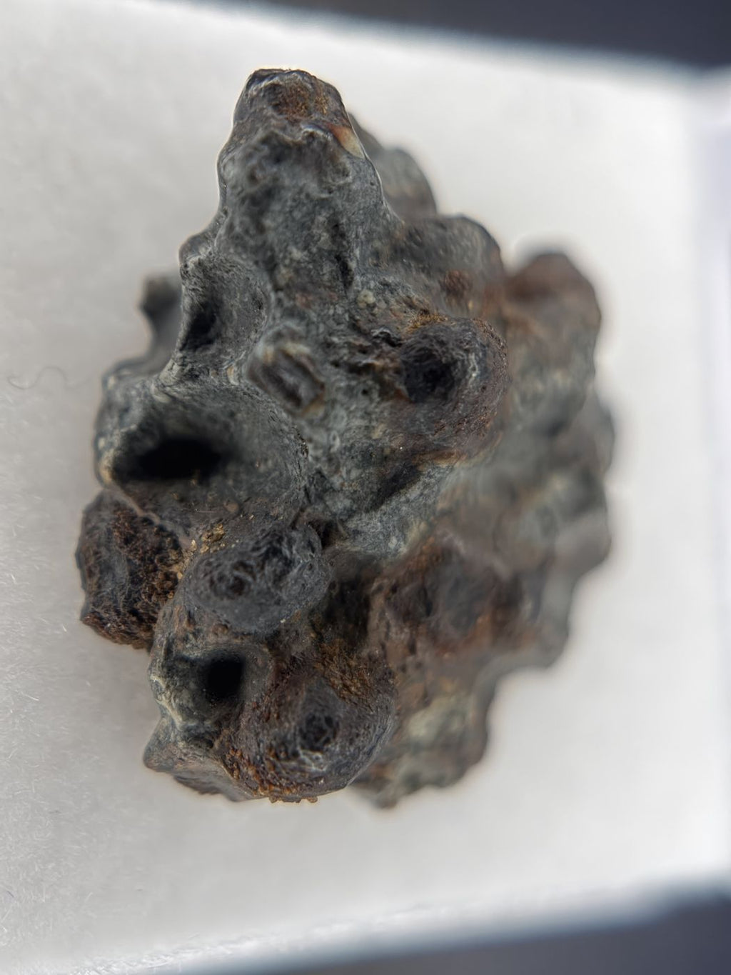 Denader 004 meteorite natural exterior surface