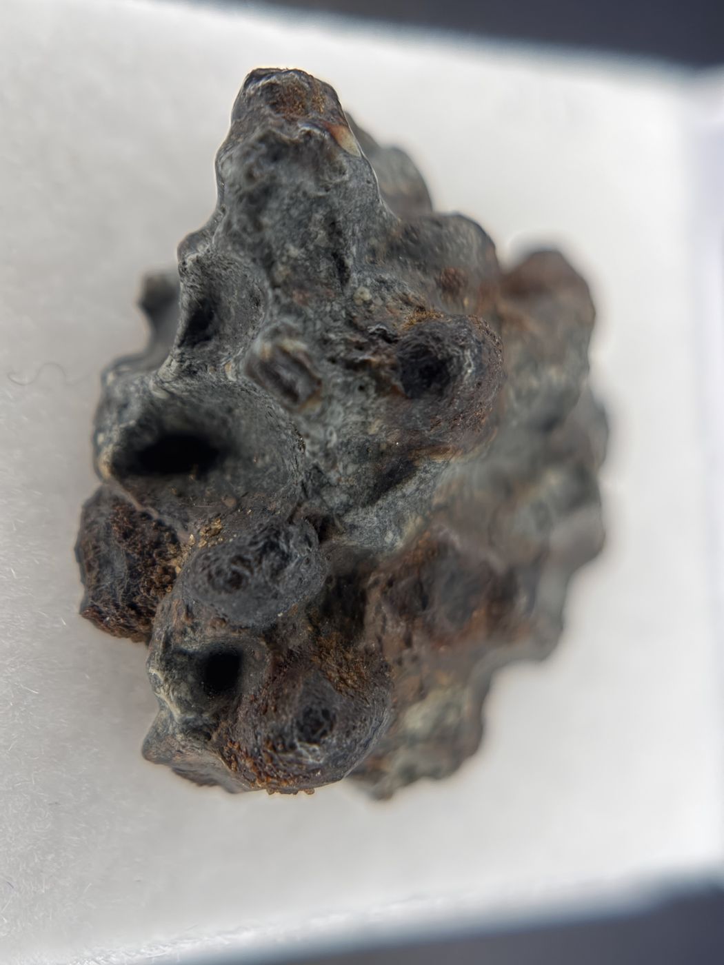 Denader 004 meteorite natural exterior surface