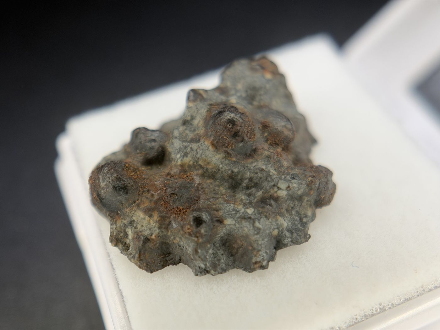 Denader 004 meteorite natural exterior, reverse of the endcut