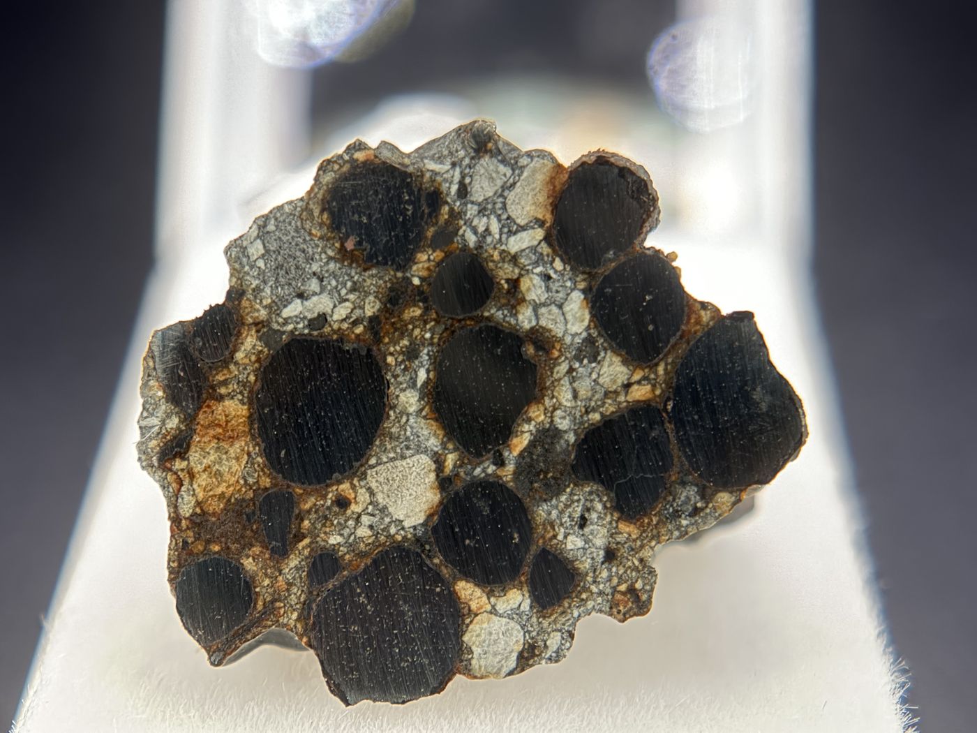 Denader 004 CB carbonaceous chondrite endcut, polished face with metal nodules in a gray silicate matrix