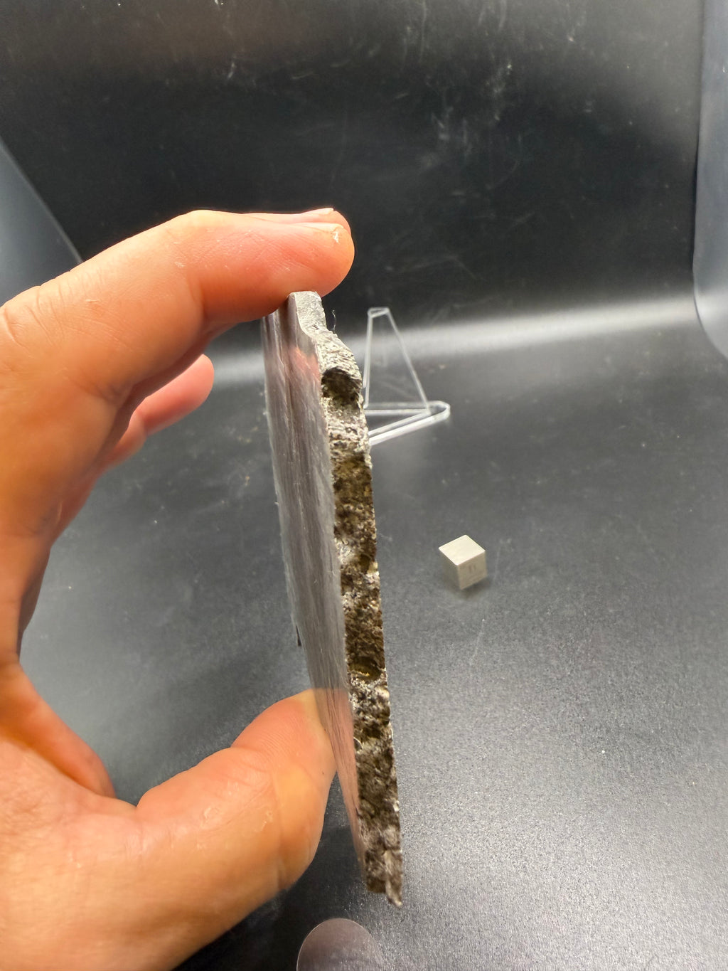 Muonionalusta IVA octahedrite 292.00g -- full face view of etched pattern showing nickel-iron crystal structure from asteroid