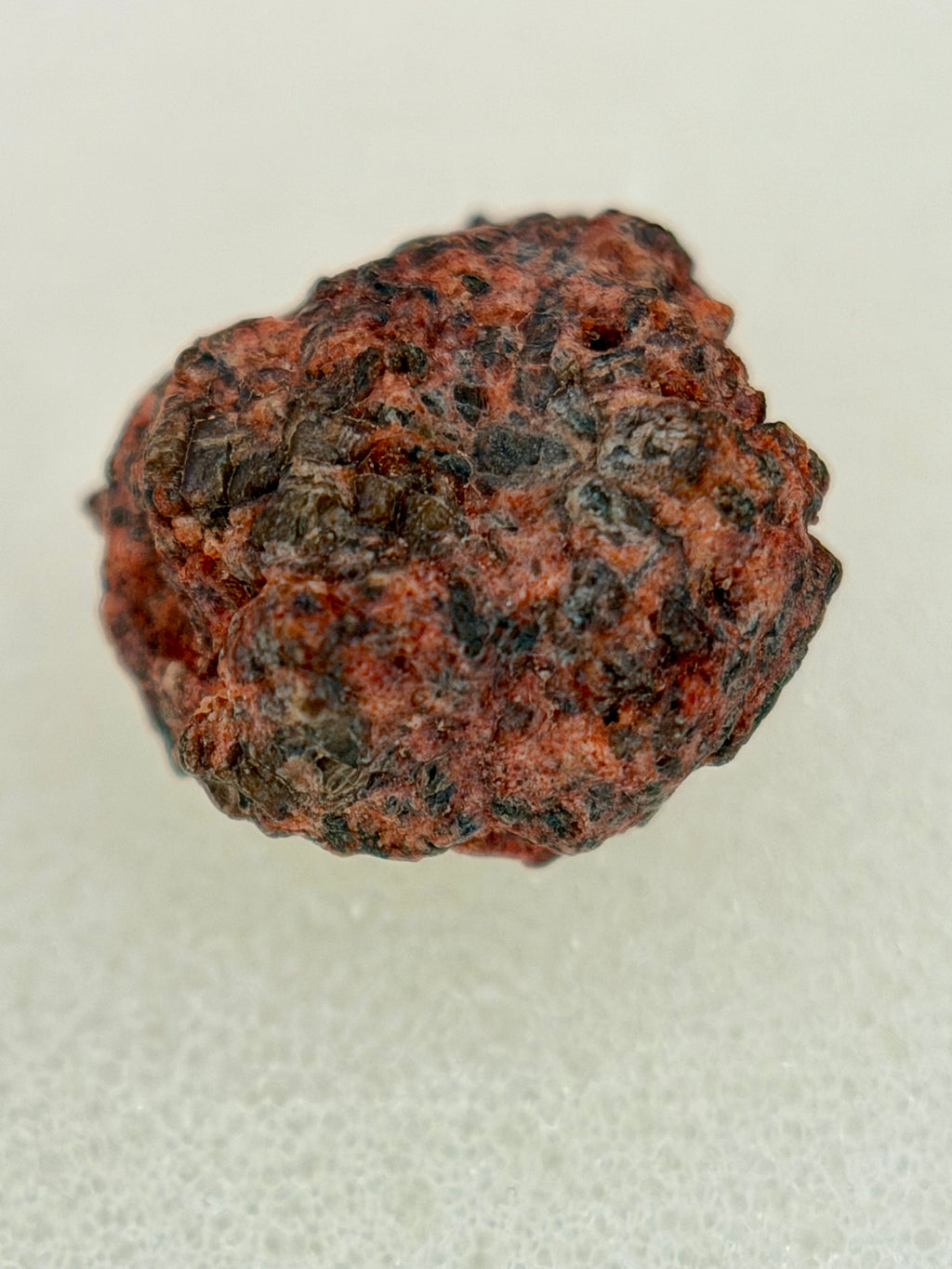 Erg Chech 002 achondrite individual 0.80g -- fine-grained igneous texture indicating rapid surface cooling