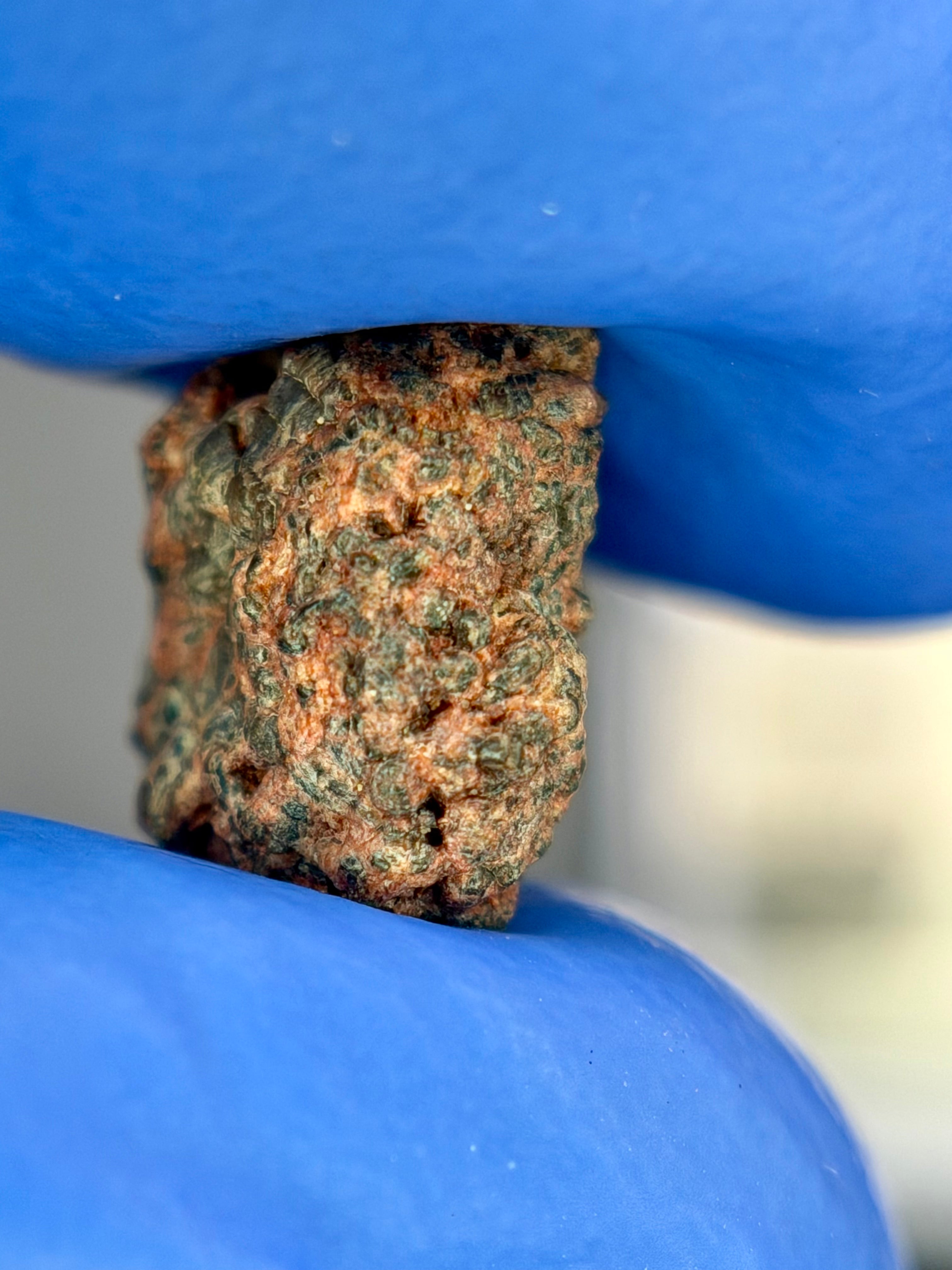Erg Chech 002 0.80g -- terrestrial weathering features concentrated in exposed interior surfaces and cracks