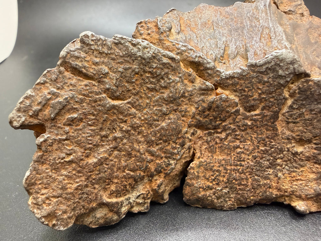 gebel-kamil-550g-shrapnel-lizard-skin-detail