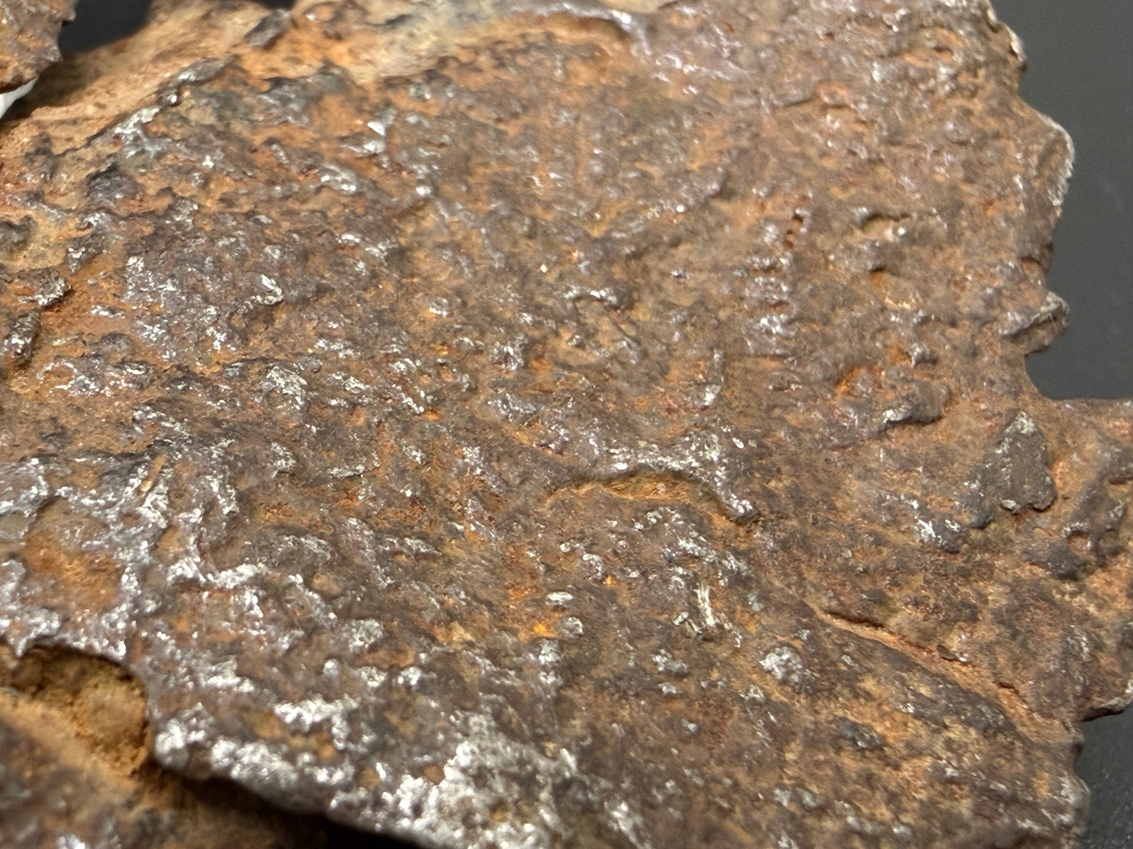 gebel-kamil-550g-shrapnel-lizard-skin-macro