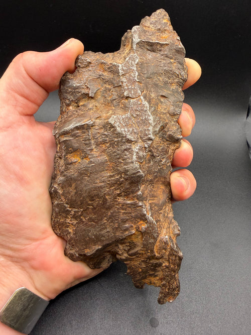 Gebel Kamil iron meteorite held in hand for scale, an elongated 1414g whole shrapnel individual