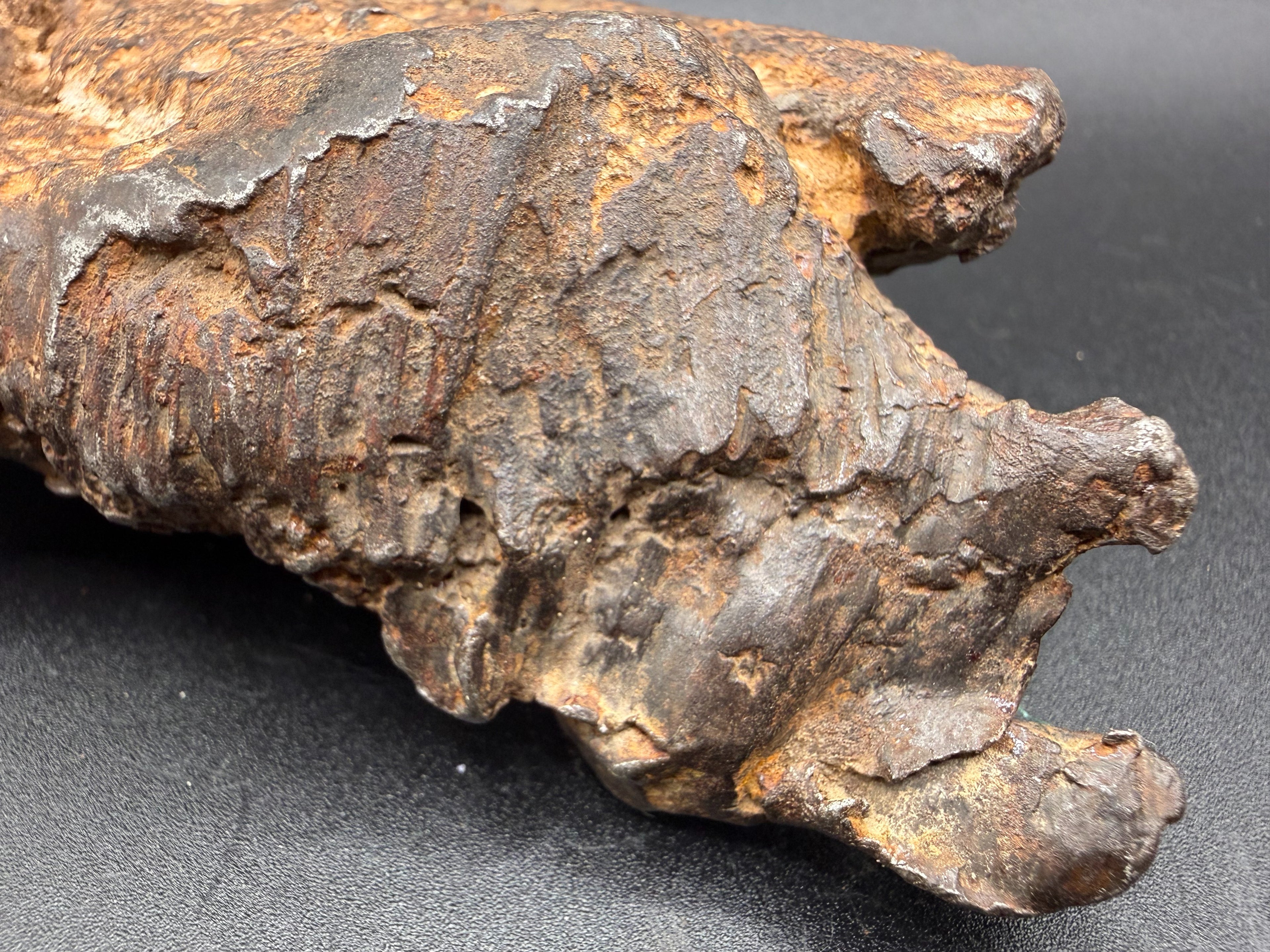 Gebel Kamil iron meteorite surface detail showing lizard skin texture and regmaglypt-like pitting