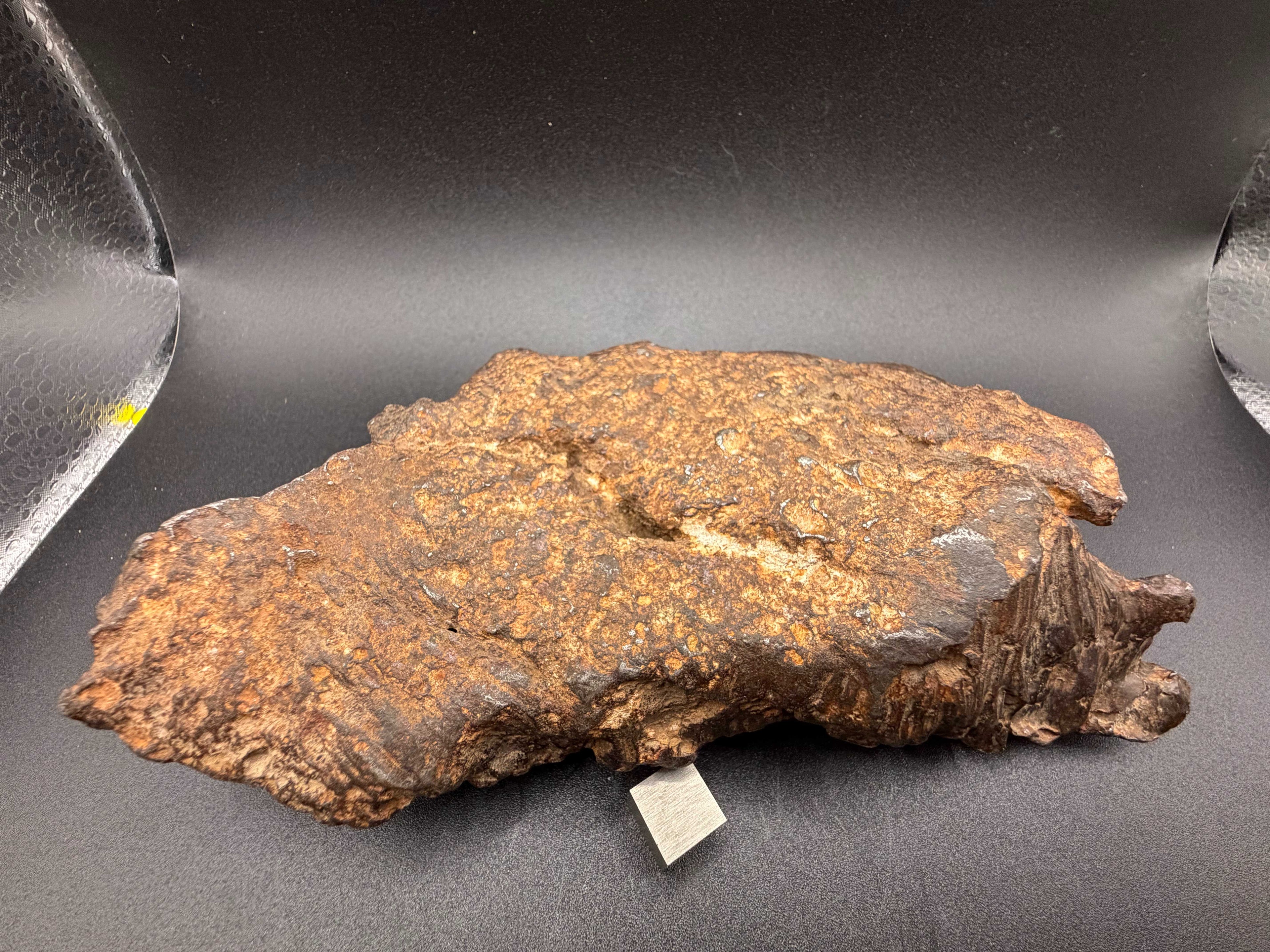 Reverse face of Gebel Kamil 1414g iron meteorite with scale cube, showing weathered lizard skin surface