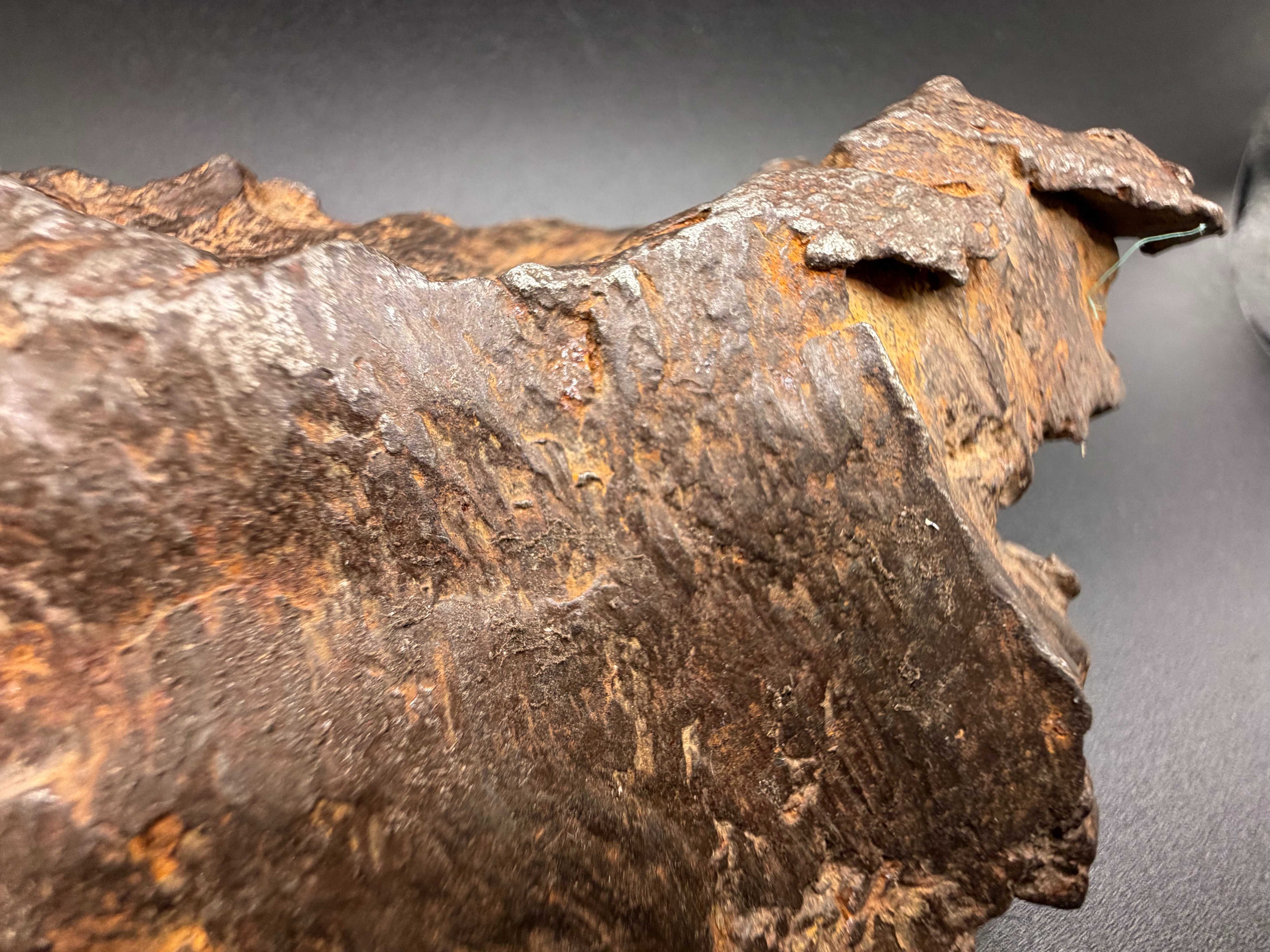 Macro of Gebel Kamil iron meteorite edge showing rollover lips and torn metal from impact fragmentation