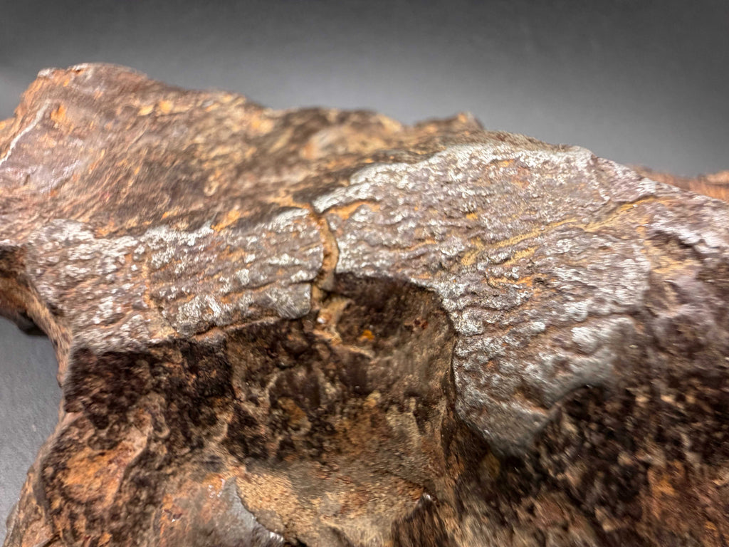 Macro close-up of Gebel Kamil iron meteorite showing shear lines and silvery deformation bands