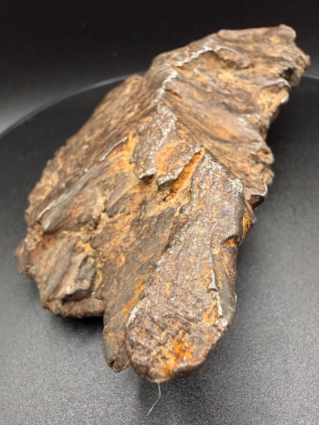 Angled view of Gebel Kamil 1414g iron meteorite on a stand, showing pronounced shear lines across the face