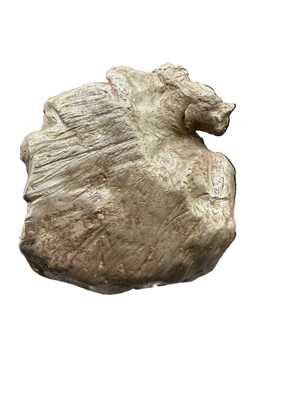 Gebel Kamil 1039.06 g shrapnel showing shield-shaped outline and curled lip